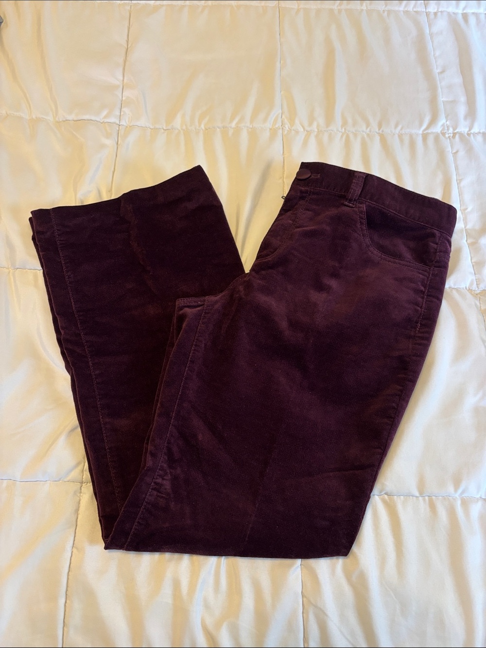 Talbots Plum Corduroy Work Pants